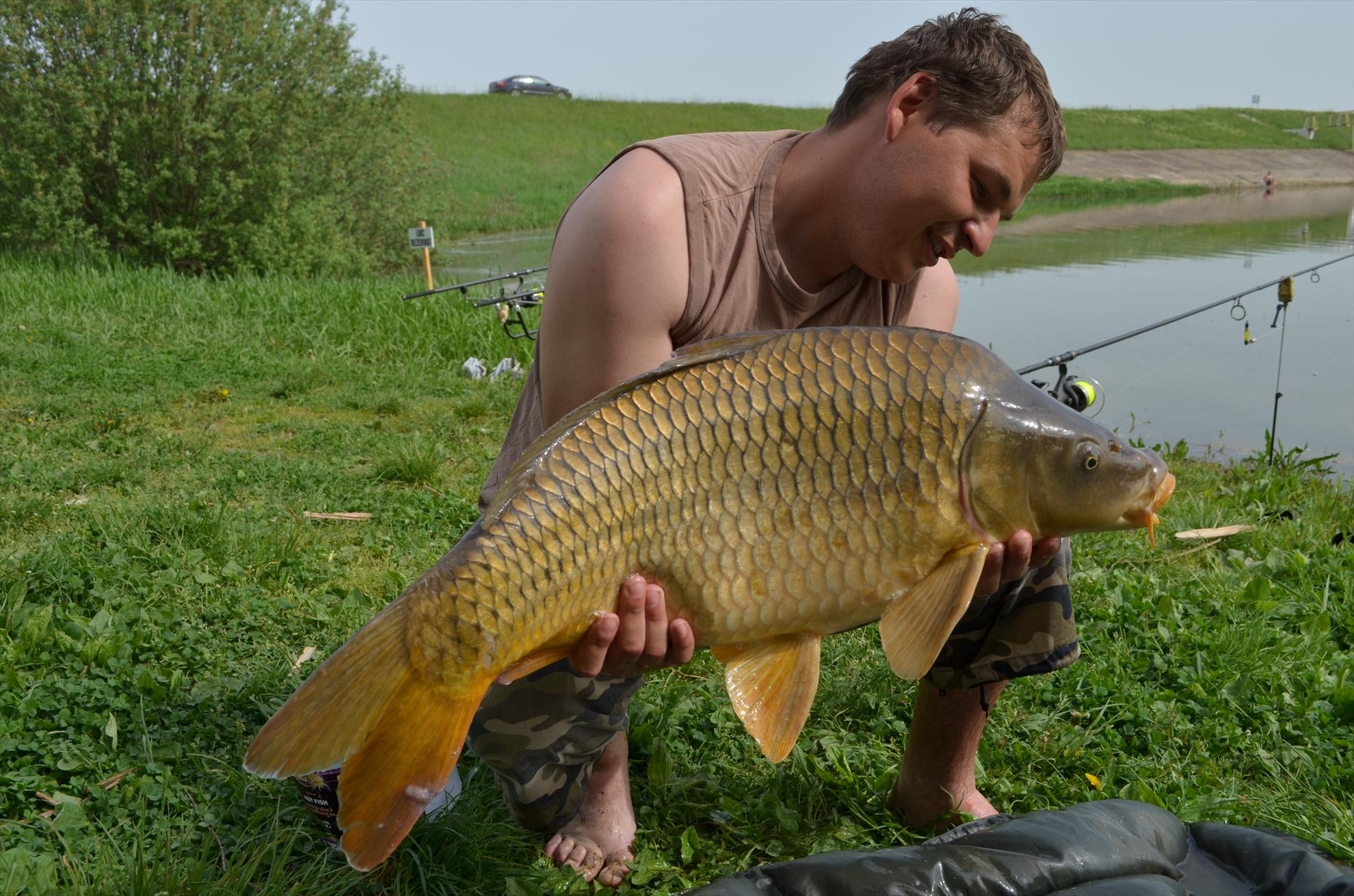 sisterea - dsc0570.JPG